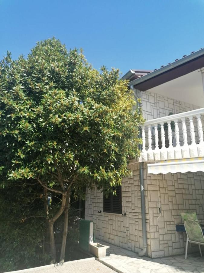 Apartment Angelina 70M From The Beach, Free Parking Novigrad Istria Extérieur photo