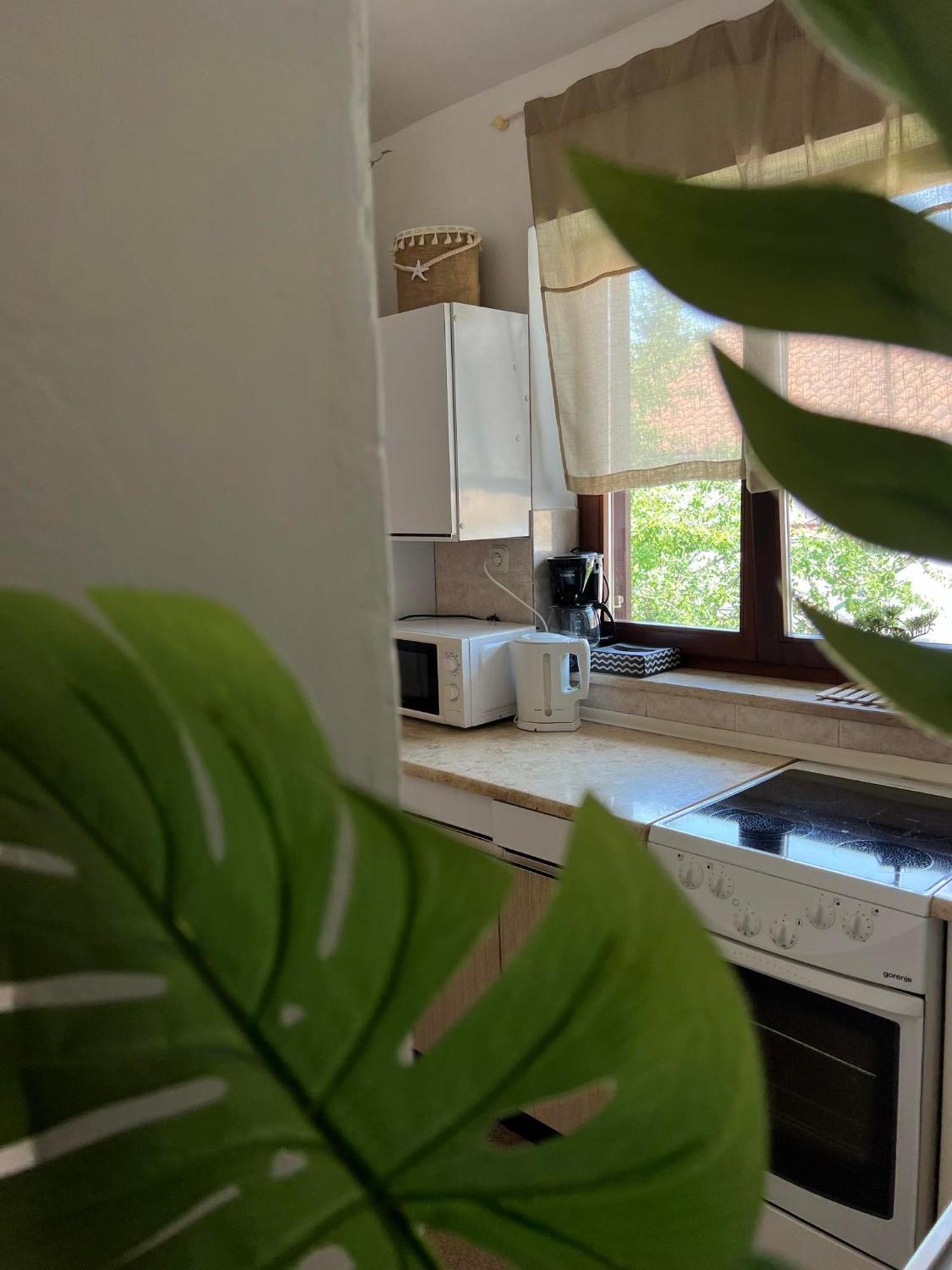 Apartment Angelina 70M From The Beach, Free Parking Novigrad Istria Extérieur photo